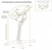 Детский стульчик Evomove Nomi от 0 до 12 лет (комплект)